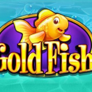 Gold Fish